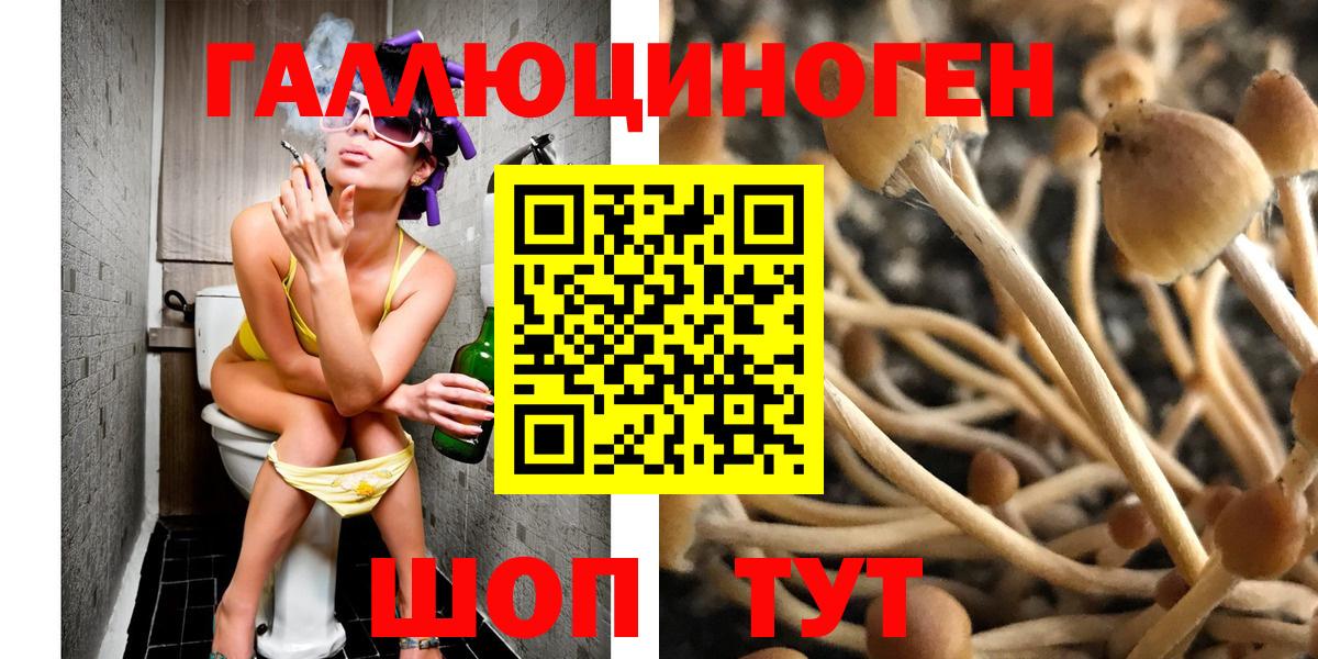Псилоцибиновые грибы ЛСД Аксай