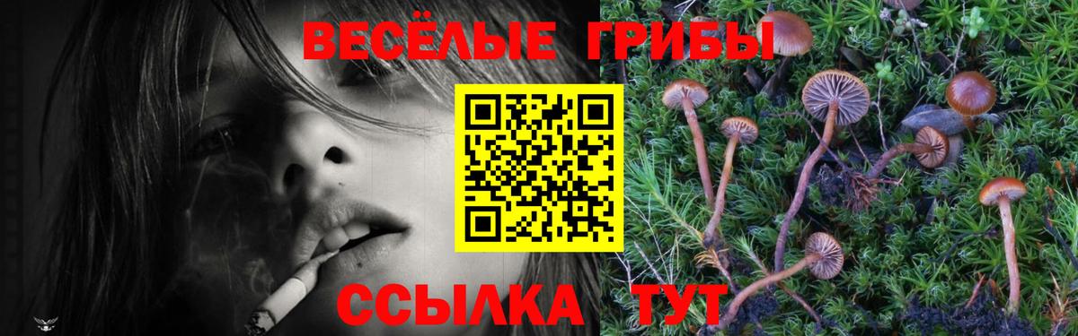 Псилоцибиновые грибы Magic Shrooms  Вход с VPN  Аксай 